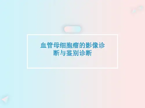 血管母细胞瘤的影像诊断与鉴别诊断