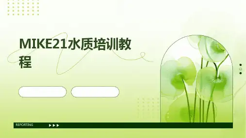 MIKE21水质培训教程