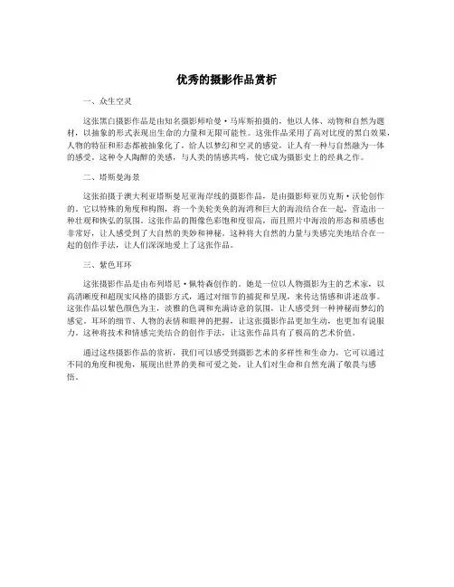 优秀的摄影作品赏析