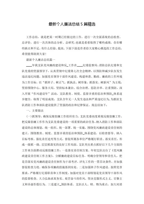 最新个人廉洁总结5篇精选