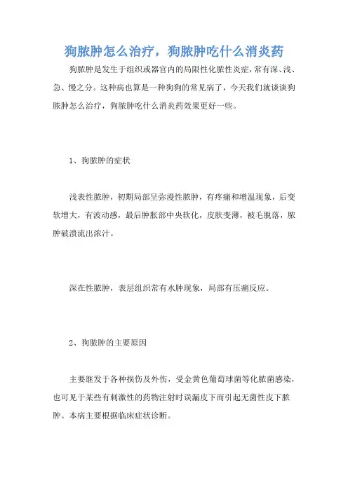 狗脓肿怎么治疗,狗脓肿吃什么消炎药