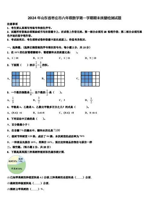 2024年山东省枣庄市六年级数学第一学期期末质量检测试题含解析