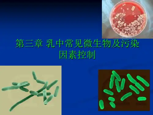 第三章乳中常见微生物及控制