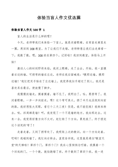 体验当盲人作文优选篇