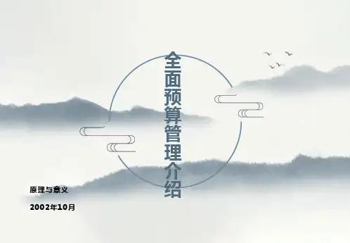 毕马威全面预算管理介绍