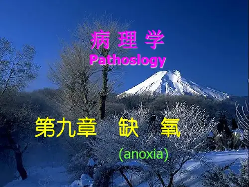 缺氧PPT课件