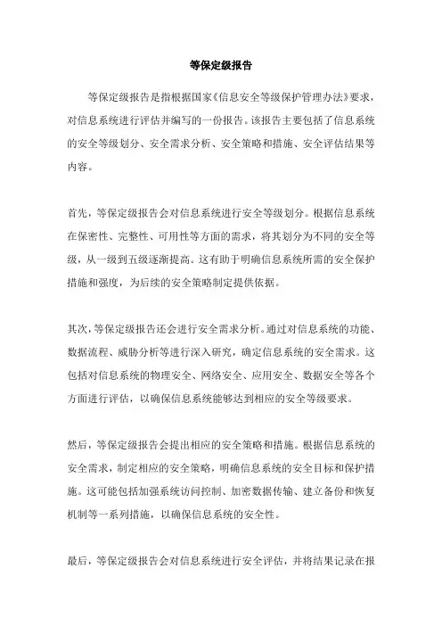 等保定级报告