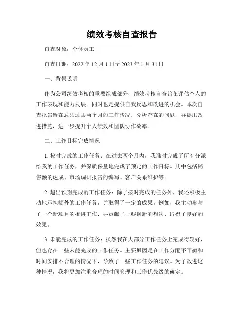 绩效考核自查报告