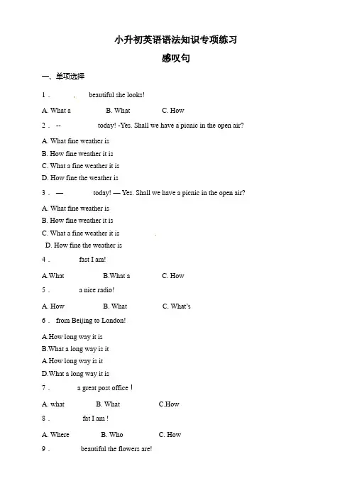 小升初英语语法专项练习-【感叹句】全国通用(含答案及详细解析)