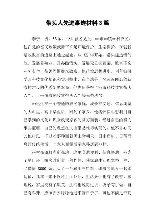 带头人先进事迹材料3篇
