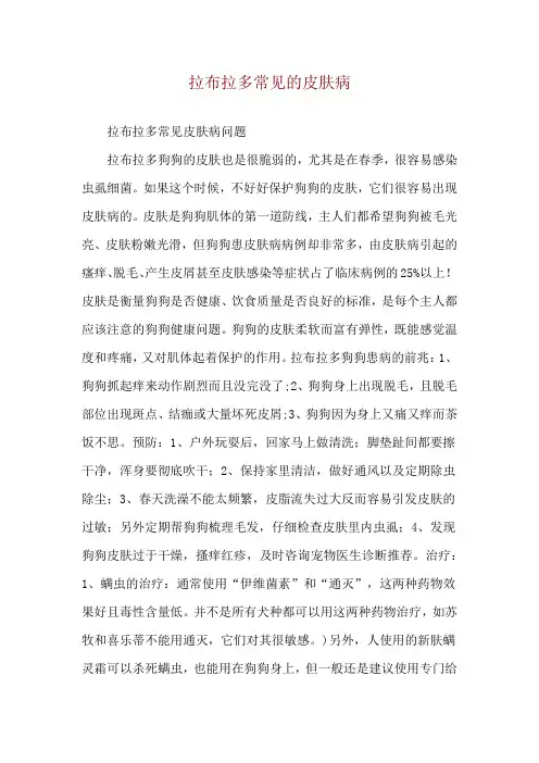 拉布拉多常见的皮肤病