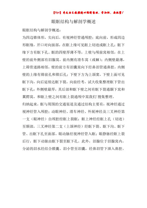 眼眶结构与解剖学概述