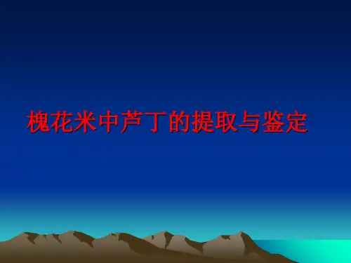 最新槐花米中芦丁的提取与鉴定