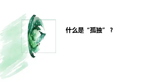 《孤独之旅》ppt课件