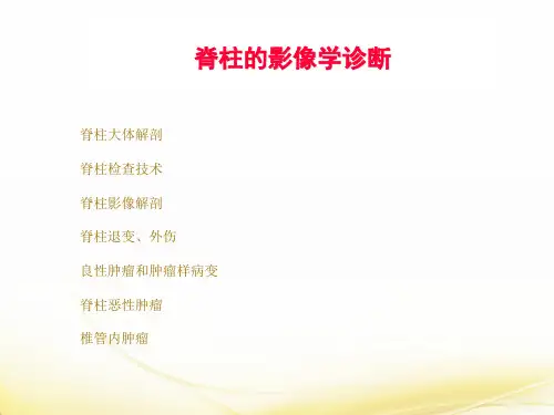 脊柱的影像学诊断