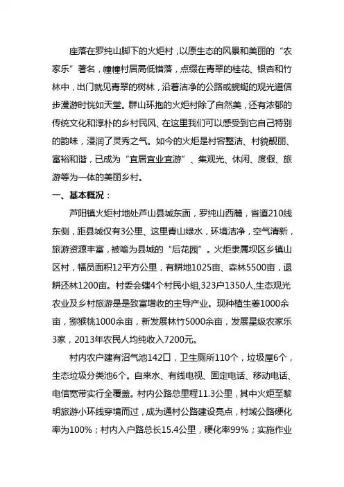 最美休闲乡村申报资料