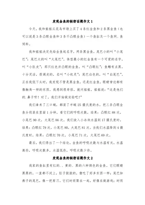 三年作文我发现了小金鱼的秘密