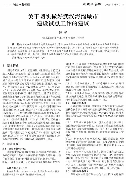关于切实做好武汉海绵城市建设试点工作的建议