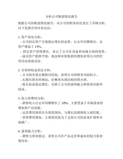 分析公司账面情况报告