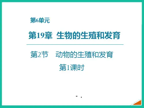 《动物的生殖和发育》PPT课件(第1课时)