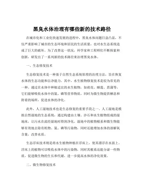 黑臭水体治理有哪些新的技术路径