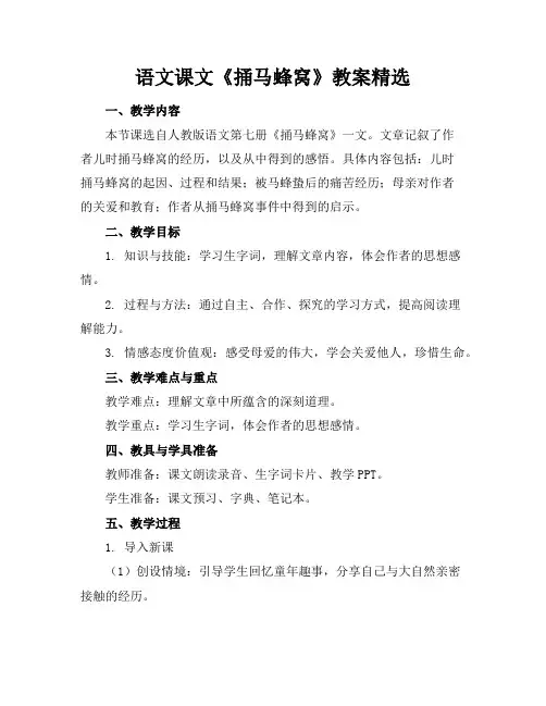 语文课文《捅马蜂窝》教案精选
