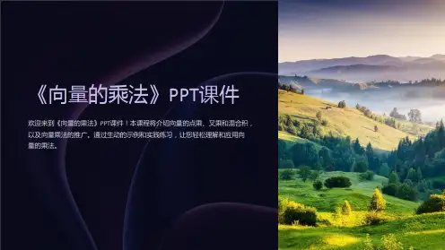 《向量的乘法》课件