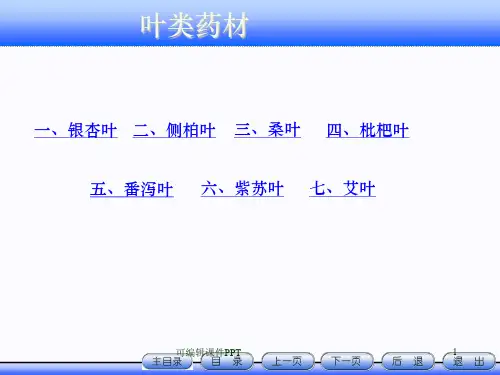 教案下篇5-叶类药材ppt课件
