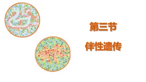 高中生物必修二伴性遗传 ppt