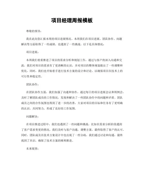 项目经理周报模板