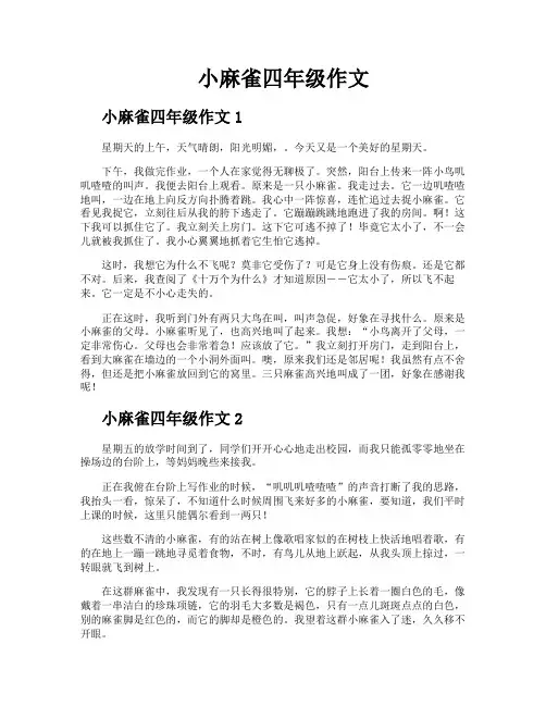 小麻雀四年级作文