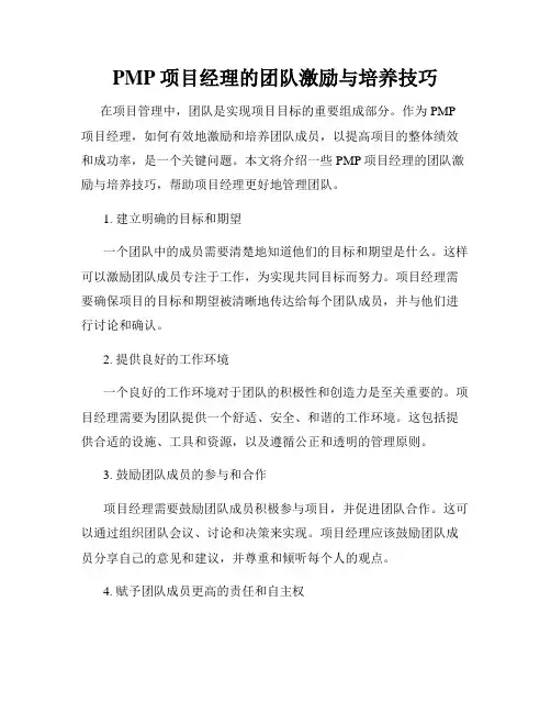 PMP项目经理的团队激励与培养技巧