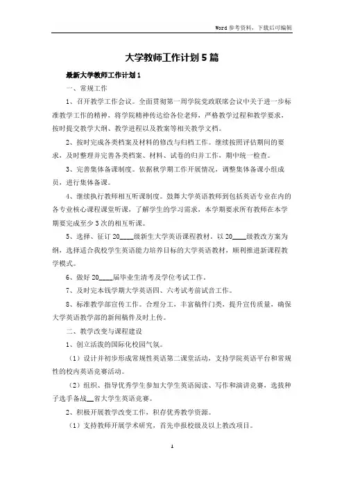 大学教师工作计划5篇