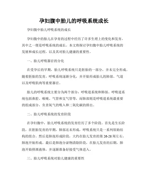 孕妇腹中胎儿的呼吸系统成长