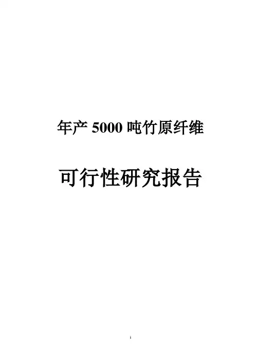 年产5000吨竹原纤维可行性研究报告