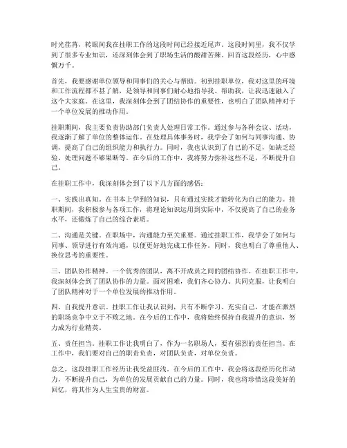挂职工作的感想