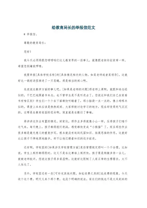 给教育局长的举报信范文