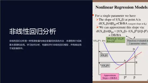 《非线性回归分析》课件
