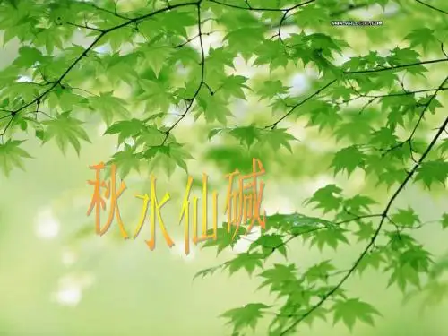 秋水仙素ppt