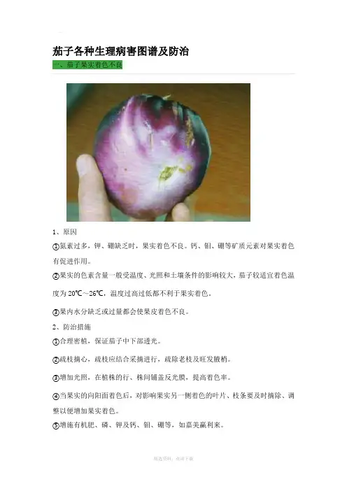 茄子各种生理病害图谱及防治