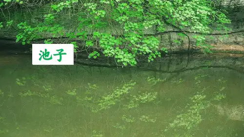 (部编版)小学语文三级下册《池子与河流》PPT上课课件