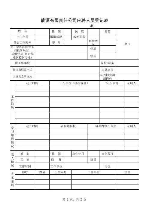 能源有限责任公司应聘人员登记表