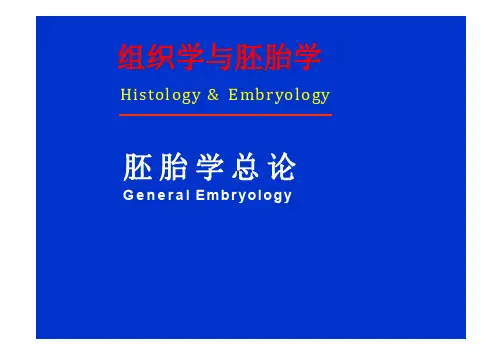 【课件-组织学与胚胎学】_20.胚胎学总论_