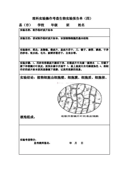制作临时玻片标本(四)