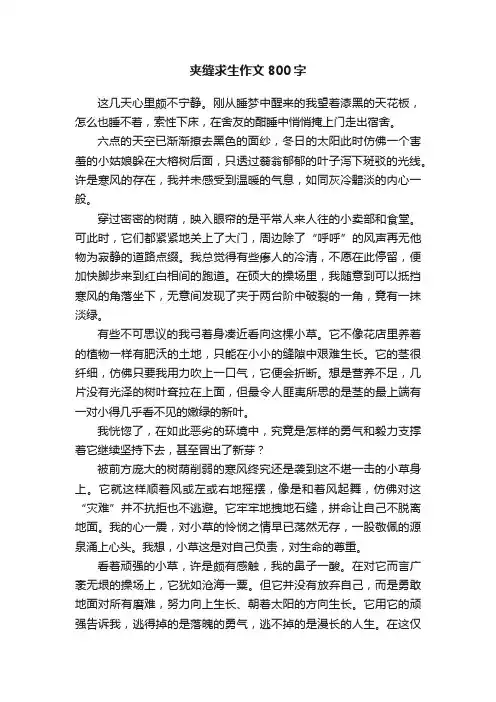 夹缝求生作文800字