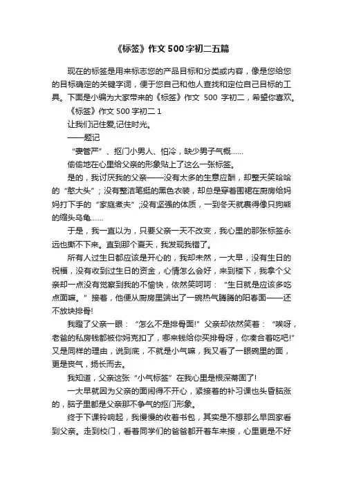 《标签》作文500字初二五篇