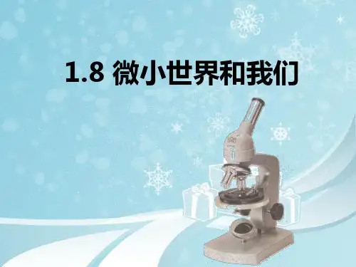 最新教科版小学科学六年级下册《微小世界和我们》教学课件