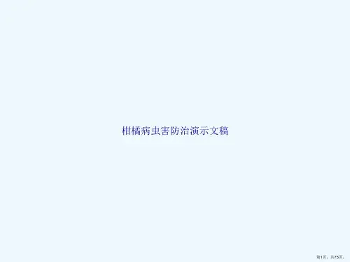 柑橘病虫害防治演示文稿
