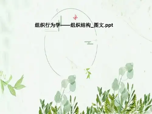 组织行为学——组织结构_图文
