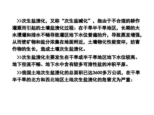 水文地质学   次生盐渍化
